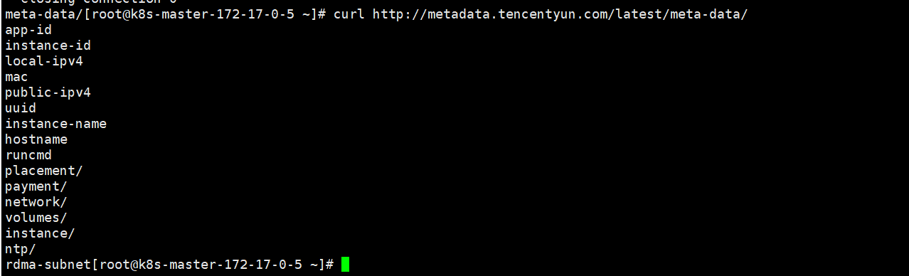 云厂商服务器实例元数据metadata的利用