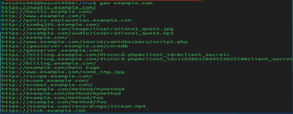 Attacking organizations with big scopes: from zero to hero -- by Hussein Daher