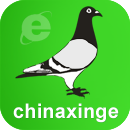 各地赛鸽公棚-gdgp.chinaxinge.com