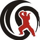 合肥陈家沟陈炳太极院【官网】 合肥陈氏太极拳馆 陈式太极拳悟真武馆