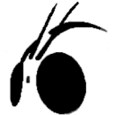 假面骑士中文WIKI – 灰机wiki – 北京嘉闻杰诺网络科技有限公司