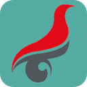 403 Forbidden (操作被拒绝)