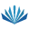 新华字典